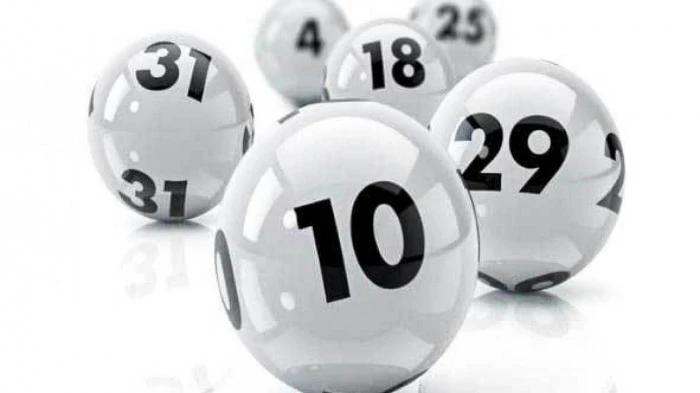 Đá Gà Trực Tiếp - Trải Nghiệm Đỉnh Cao Cùng Thế Giới Đá Gà